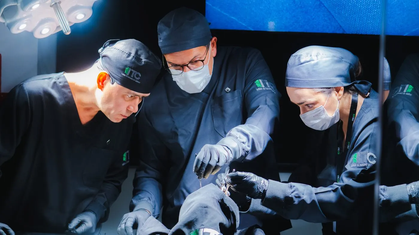 Revisão anatômica avançada em material humano real no ITC
